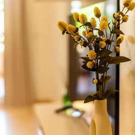 Cc8 V Med By Zanis * Torrevieja