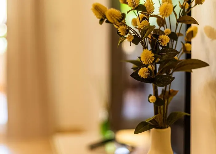 Cc8 V Med By Zanis * Torrevieja