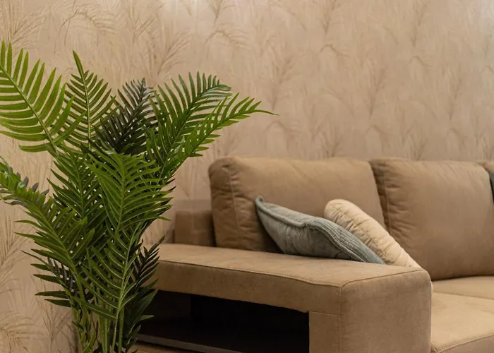 Cc8 V Med By Zanis * Torrevieja